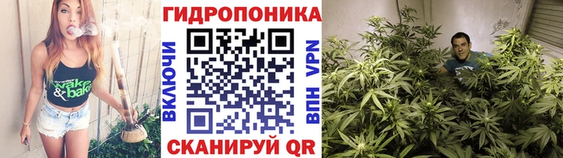 Купить наркоту Кольчугино Гашиш  Бошки Шишки  MEGA ССЫЛКА  Мефедрон  COCAIN 