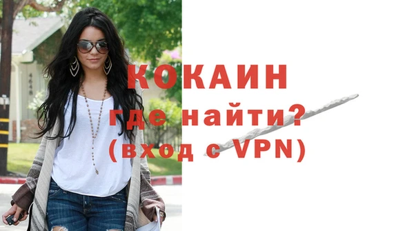 apvp Каменка
