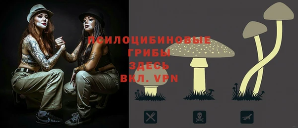 mdpv Каменск-Шахтинский