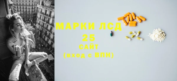 apvp Каменка