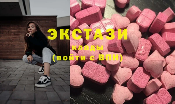 apvp Каменка
