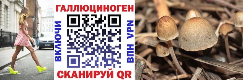 Псилоцибиновые грибы ЛСД как найти Кольчугино